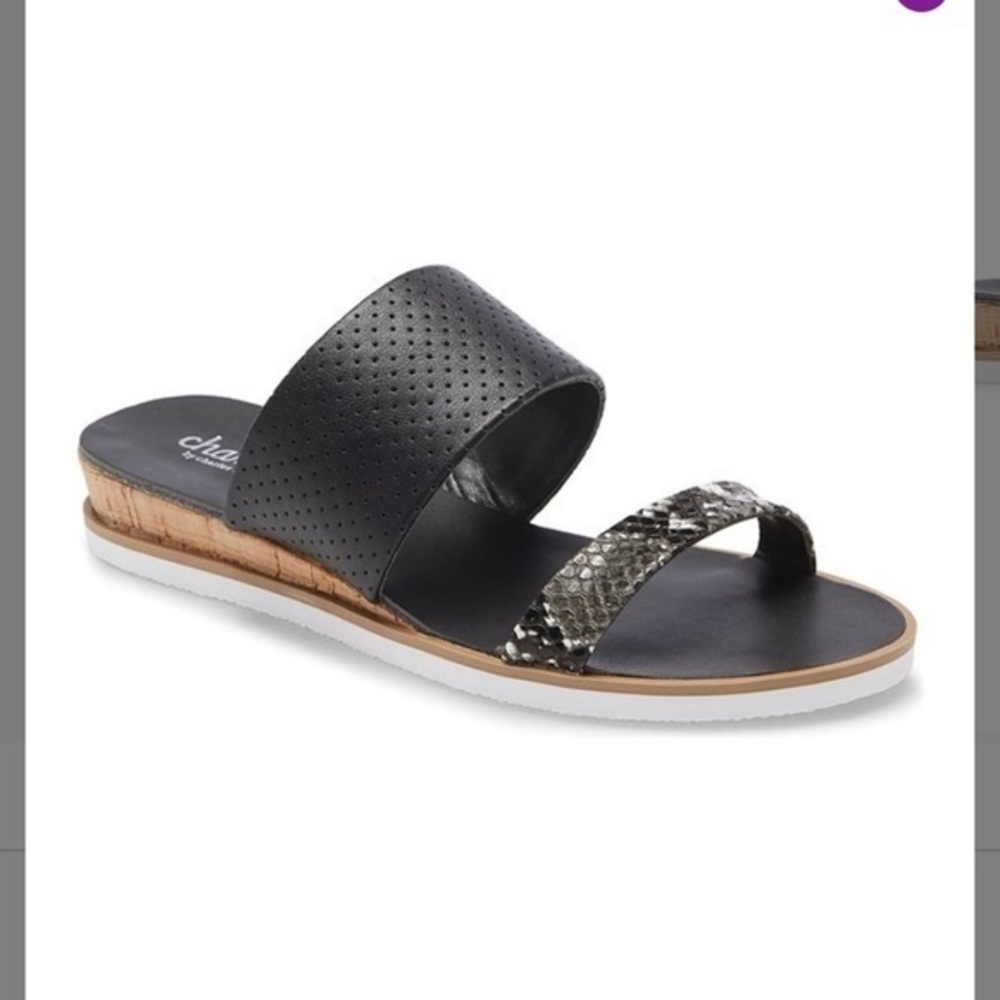 NIB-Charles David Cork Wedge Slide Sandal